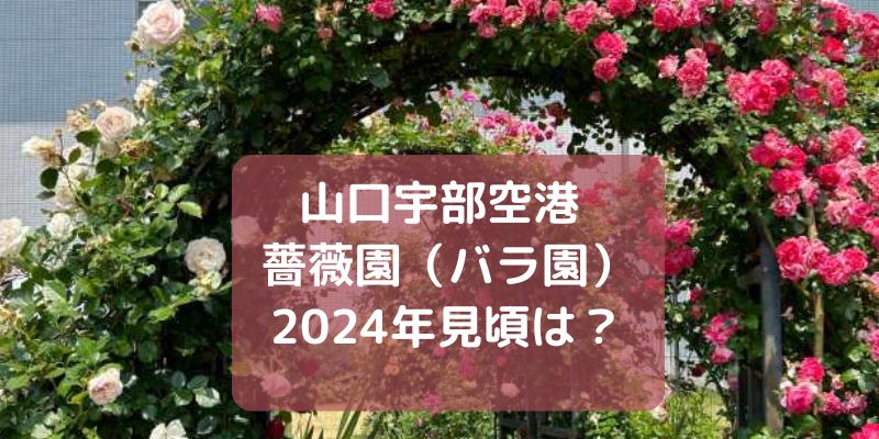 山口宇部空港　薔薇園2024