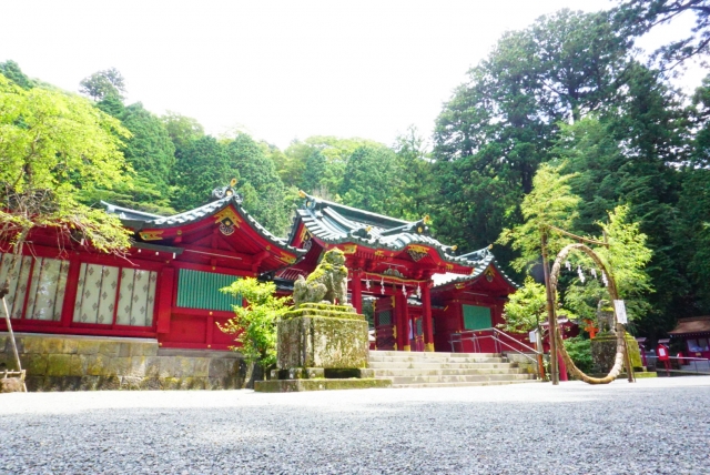 箱根神社　茅の輪くぐり